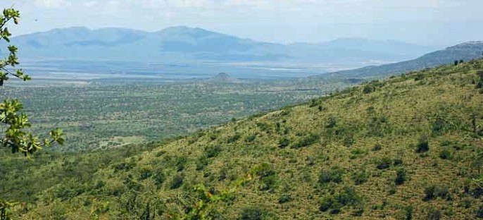 Muriba Forest - Mara African Tourism